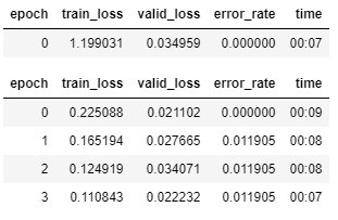 Bear dataset training