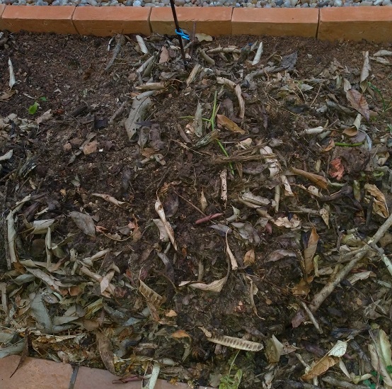 Compost pile