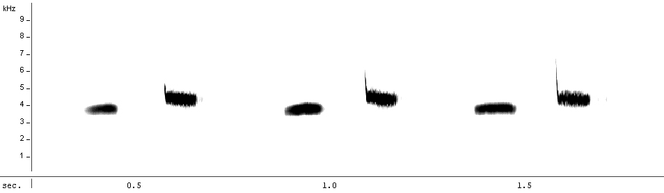 Great Tit spectrogram