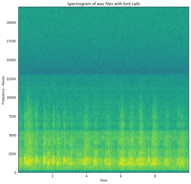 Raven spectrogram